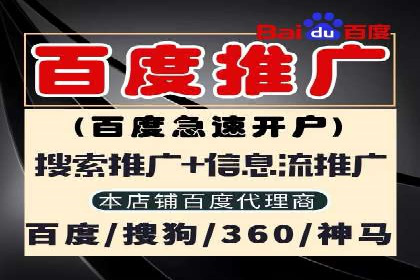 竞价代运营的案例研究：如何精准投放广告并获得回报